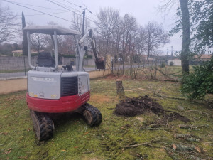 Photo de galerie - Dessouchage 