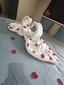 Photo de galerie - Décoration romantique Airbnb 