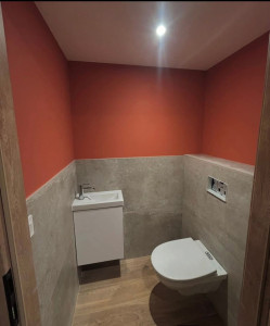 Photo de galerie - Mise en peinture WC 