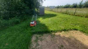 Photo de galerie - Tonte de pelouse - Débroussaillage