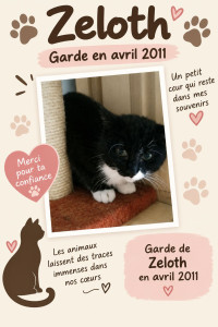 Photo de galerie - Garde chat