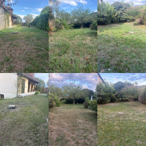 Photo de galerie - Tonte de pelouse