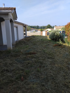 Photo de galerie - Tonte de pelouse - Débroussaillage