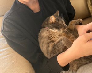 Photo de galerie - Garde chat ? 