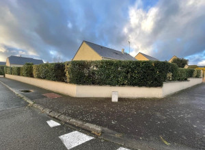 Photo de galerie - Taille de haie bocagère 