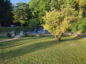 Photo de galerie - Tonte de pelouse - Débroussaillage