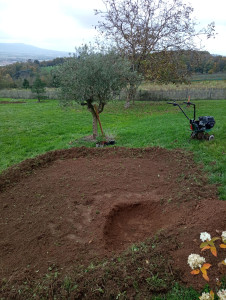 Photo de galerie - Préparation du terrain avant plantation 