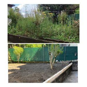 Photo de galerie - Nettoyer plus posse de bordure 380€