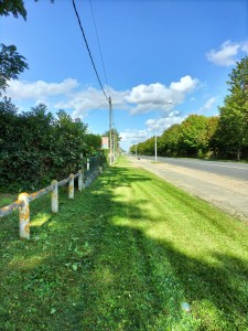 Photo de galerie - Tonte de pelouse - Débroussaillage