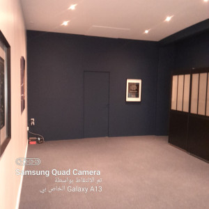 Photo de galerie - Peinture - Tapisserie