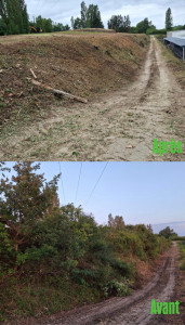 Photo de galerie - Nettoyage de terrain 