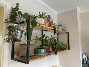 Photo de galerie - Étagère à plantes moderne - réalisation en bois et métal
