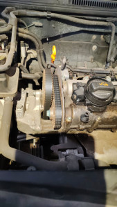 Photo de galerie - Distribution golf 4 1.6 100cv