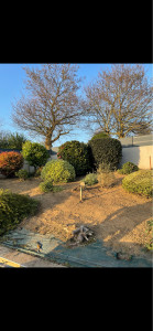 Photo de galerie - Sarcler