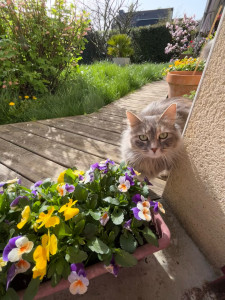 Photo de galerie - Tyfille