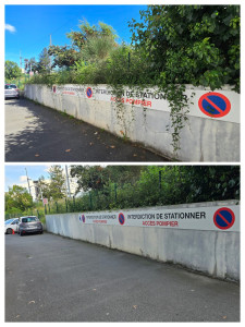 Photo de galerie - Tonte de pelouse - Débroussaillage