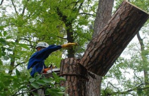 Photo de galerie - Artisan tout corps d'état - Rénovation