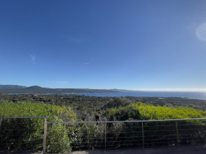 Photo de galerie - Elagage et coupe d'arbres