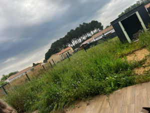 Photo de galerie - Tonte de pelouse - Débroussaillage