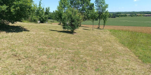 Photo de galerie - Terrain vallonné de 4000 M2 une journée de réalisation également 