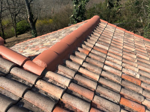 Photo de galerie - Réalisation peinture plastifier, étanche sur faîtage