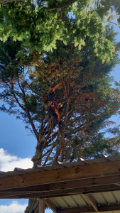 Photo de galerie - Démontage 