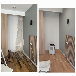 Photo de galerie - Rénovation enduit, peinture, parquet suite dégât des eaux