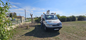Photo de galerie - Abattage arbe mort a foussignac 16200