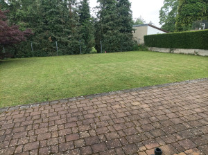 Photo de galerie - Tonte de pelouse - Débroussaillage