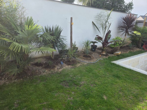 Photo de galerie - Céation gazon après avec massif tropical
