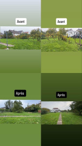 Photo de galerie - Dessouchage de 45 pieds de vigne et remise en état d’un terrain 