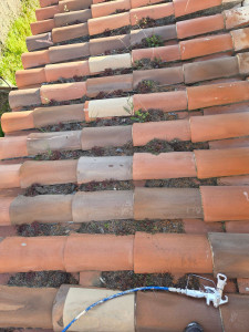 Photo de galerie - Nettoyage toiture 