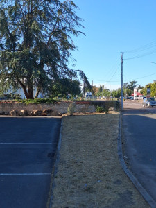 Photo de galerie - Remise en état de parcelle