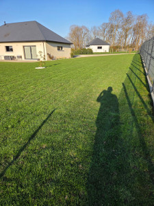 Photo de galerie - Tonte de pelouse - Débroussaillage