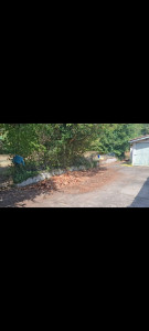 Photo de galerie - Castera Verduzan 2025
Avant nettoyage et taille d'arbre 
