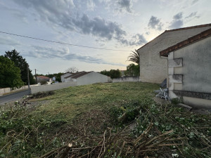 Photo de galerie - Débroussaillage 