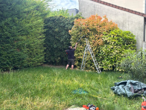 Photo de galerie - Taille et entretien des haies et évacuation( Saint-Maur-des-Fossés 94)