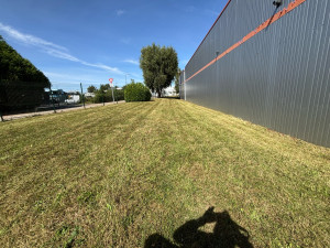 Photo de galerie - Grosse tonte et débroussaillage partie 2