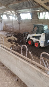 Photo de galerie - ? Nettoyage de bâtiment agricole avec Bobcat S70
Réalisation du curage et nettoyage complet d’un bâtiment agricole à l’aide d’un Bobcat S70, permettant un travail efficace même dans les espaces à accès réduit.
✅ Curage du bâtiment
✅ Évacuation des matièr