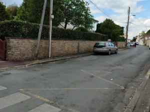 Photo de galerie - Taille de haies et d'arbustes