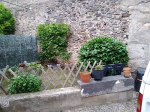 Photo de galerie - Jardinier