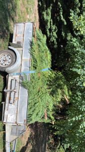 Photo de galerie - Évacuation déchets - Gravats