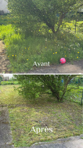 Photo de galerie - Même avec de l’herbe très très haute j’ai le matériel adéquate !!