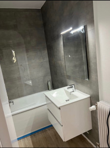 Photo de galerie - Sdb réhabilitation de logement 