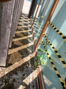 Photo de galerie - Ménage