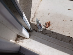 Photo de galerie - Ménage