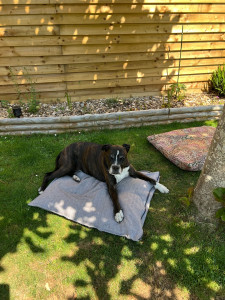 Photo de galerie - Repos bien mérité à l’ombre 