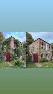 Photo de galerie - Suppression de plantes grimpantes (lierres, glycines, vignes )