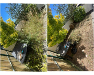 Photo de galerie - Débroussaillage d'un jardin réalisé 