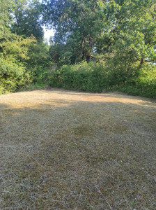 Photo de galerie - Débroussaillage d'un terrain en friche.